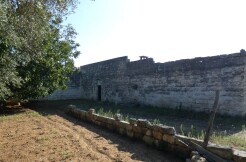 Casolare in vendita con terreno uliveto, Francavilla Fontana, Puglia