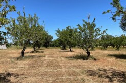 Terreno vista mare in vendita a Carovigno, Serranova